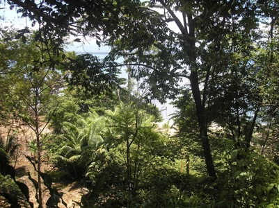 Beautiful Beachfront House in Bocas del Drago Panama - image 6