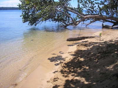 Beautiful Beachfront House in Bocas del Drago Panama - image 2