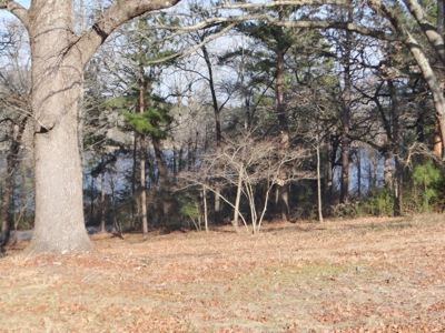Lakefront Lot East Texas Land Lake Hawkins Texas Build Here - image 5