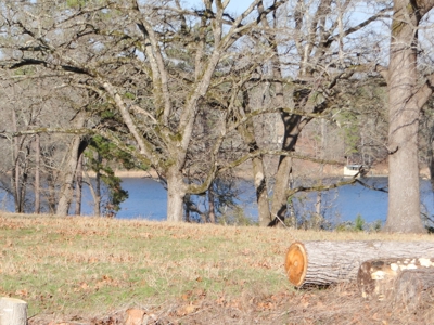 Lakefront Lot East Texas Land Lake Hawkins Texas Build Here - image 9