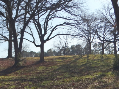 Lakefront Lot East Texas Land Lake Hawkins Texas Build Here - image 11