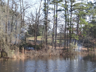 Lakefront Lot East Texas Land Lake Hawkins Texas Build Here - image 15
