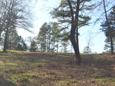 Lakefront Lot East Texas Land Lake Hawkins Texas Build Here - image 12