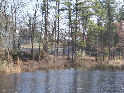 Lakefront Lot East Texas Land Lake Hawkins Texas Build Here - image 14