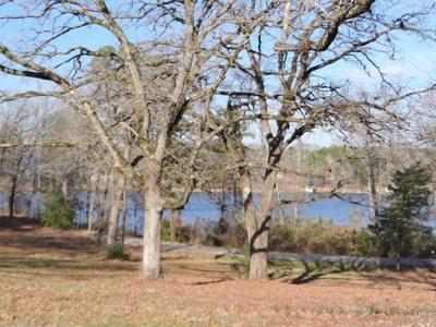 Lakefront Lot East Texas Land Lake Hawkins Texas Build Here - image 8