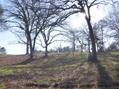 Lakefront Lot East Texas Land Lake Hawkins Texas Build Here - image 10