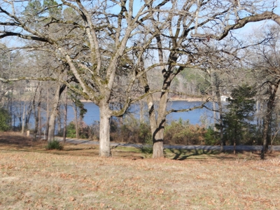 Lakefront Lot East Texas Land Lake Hawkins Texas Build Here - image 2
