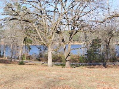 Lakefront Lot East Texas Land Lake Hawkins Texas Build Here - image 1