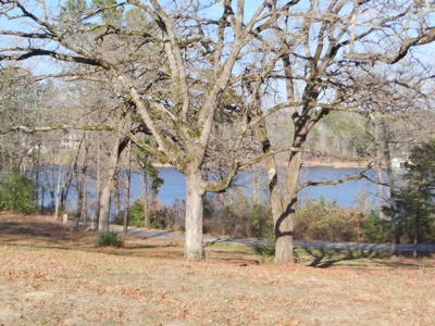 Lakefront Lot East Texas Land Lake Hawkins Texas Build Here - image 6