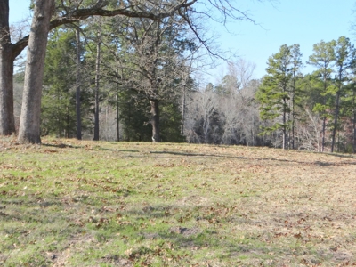 Lakefront Lot East Texas Land Lake Hawkins Texas Build Here - image 3