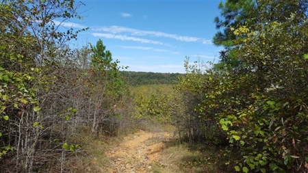917 Acres On Kiamichi Mountain Surrounded By National Forest - image 4