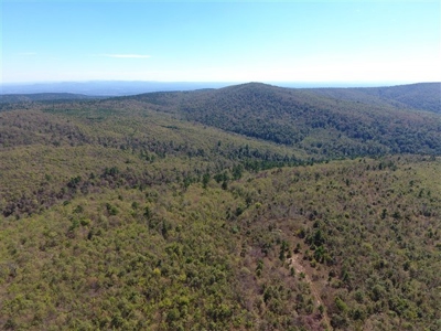 917 Acres On Kiamichi Mountain Surrounded By National Forest - image 29