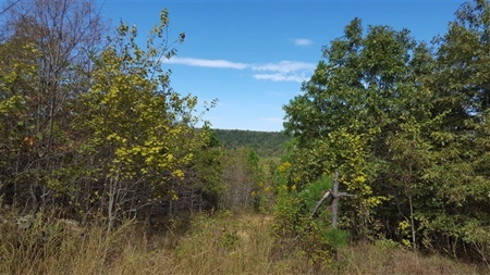 917 Acres On Kiamichi Mountain Surrounded By National Forest - image 3