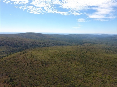 917 Acres On Kiamichi Mountain Surrounded By National Forest - image 18