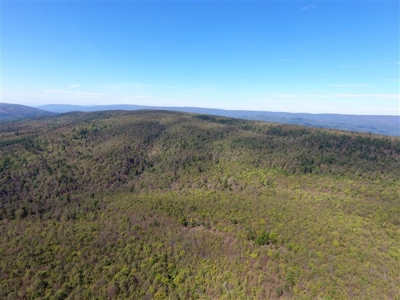917 Acres On Kiamichi Mountain Surrounded By National Forest - image 20