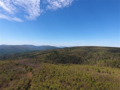 917 Acres On Kiamichi Mountain Surrounded By National Forest - image 14
