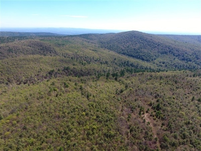 917 Acres On Kiamichi Mountain Surrounded By National Forest - image 23