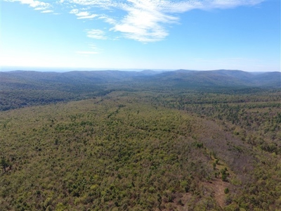 917 Acres On Kiamichi Mountain Surrounded By National Forest - image 28