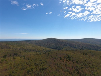917 Acres On Kiamichi Mountain Surrounded By National Forest - image 16