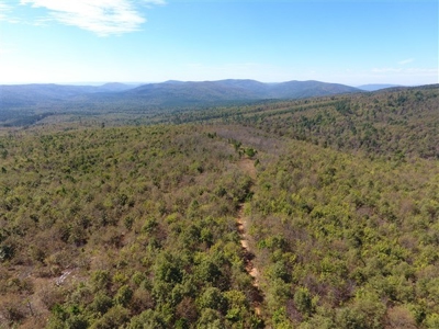 917 Acres On Kiamichi Mountain Surrounded By National Forest - image 30