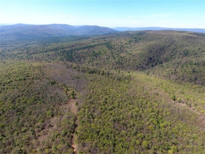 917 Acres On Kiamichi Mountain Surrounded By National Forest - image 25
