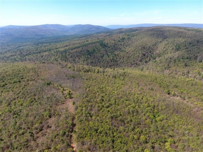 917 Acres On Kiamichi Mountain Surrounded By National Forest - image 26