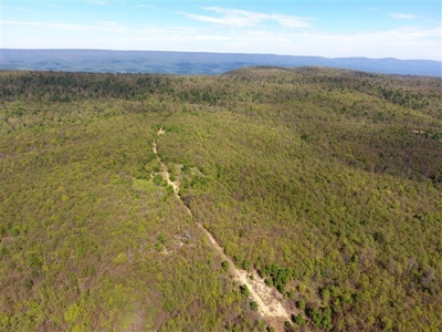 917 Acres On Kiamichi Mountain Surrounded By National Forest - image 22