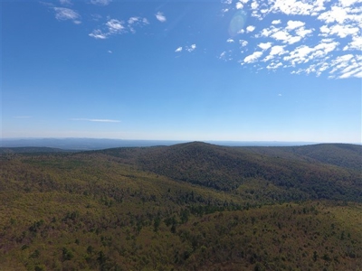 917 Acres On Kiamichi Mountain Surrounded By National Forest - image 17