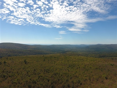 917 Acres On Kiamichi Mountain Surrounded By National Forest - image 15