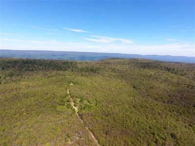 917 Acres On Kiamichi Mountain Surrounded By National Forest - image 21