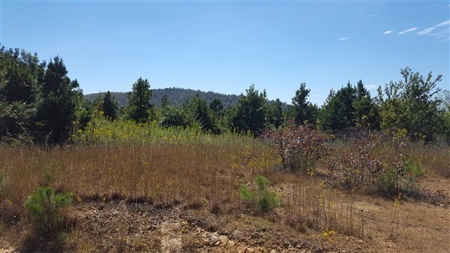 917 Acres On Kiamichi Mountain Surrounded By National Forest - image 7