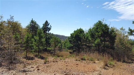 917 Acres On Kiamichi Mountain Surrounded By National Forest - image 11