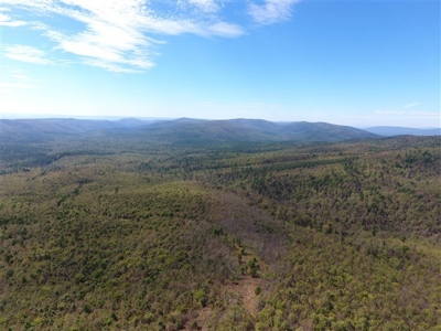 917 Acres On Kiamichi Mountain Surrounded By National Forest - image 19