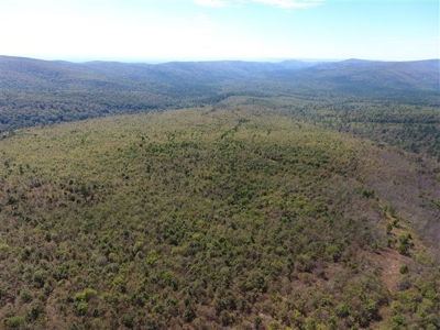 917 Acres On Kiamichi Mountain Surrounded By National Forest - image 24