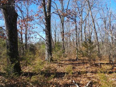 Overlooks White River In Town Of Cotter Ar - image 15