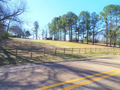 Overlooks White River In Town Of Cotter Ar - image 20