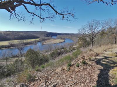 Overlooks White River In Town Of Cotter Ar - image 1