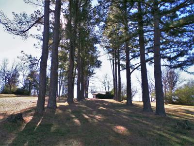 Overlooks White River In Town Of Cotter Ar - image 5