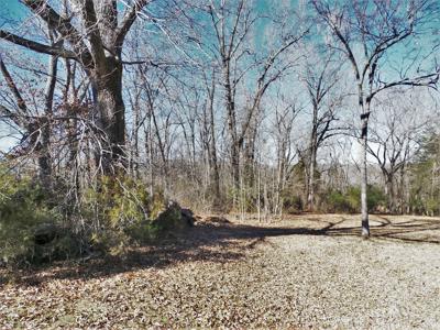 Overlooks White River In Town Of Cotter Ar - image 9