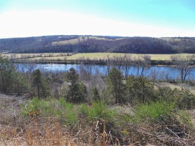 Overlooks White River In Town Of Cotter Ar - image 3