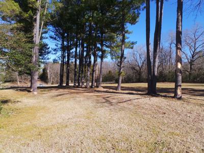 Overlooks White River In Town Of Cotter Ar - image 10