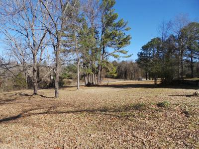 Overlooks White River In Town Of Cotter Ar - image 16