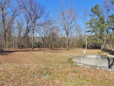 Overlooks White River In Town Of Cotter Ar - image 7