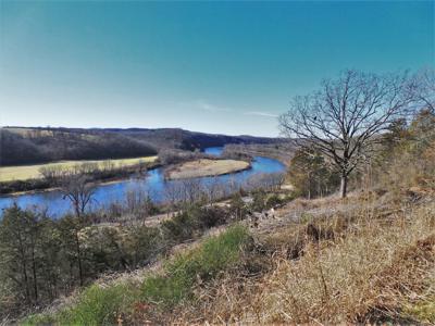 Overlooks White River In Town Of Cotter Ar - image 2