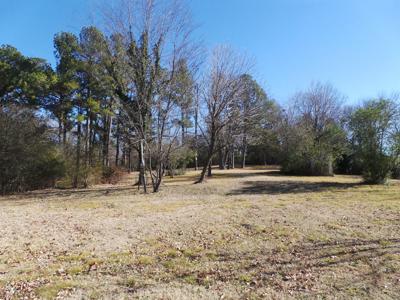 Overlooks White River In Town Of Cotter Ar - image 14