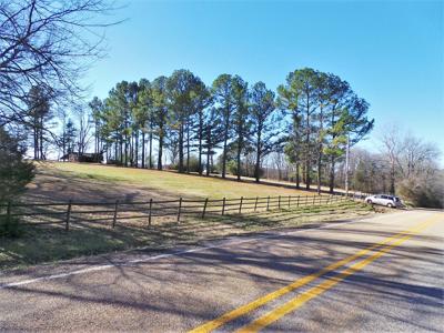 Overlooks White River In Town Of Cotter Ar - image 22