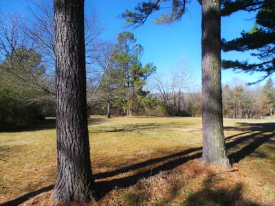 Overlooks White River In Town Of Cotter Ar - image 19