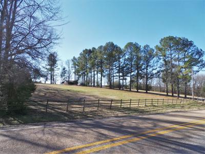 Overlooks White River In Town Of Cotter Ar - image 21