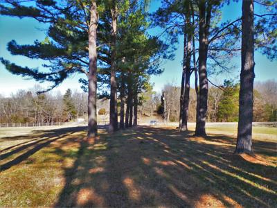 Overlooks White River In Town Of Cotter Ar - image 4