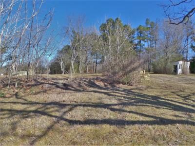 Overlooks White River In Town Of Cotter Ar - image 8